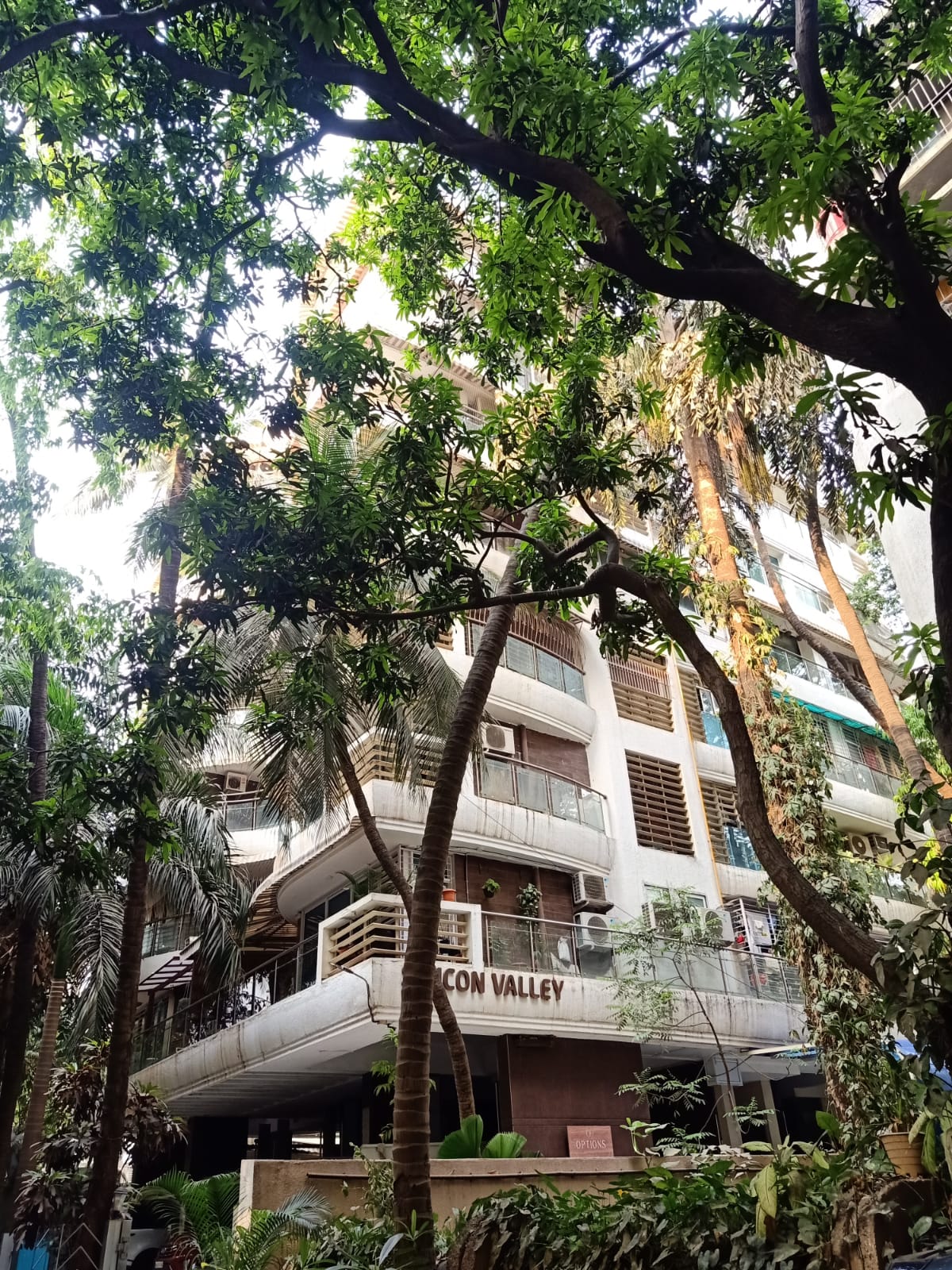 Building - Silicon Valley, Santacruz West